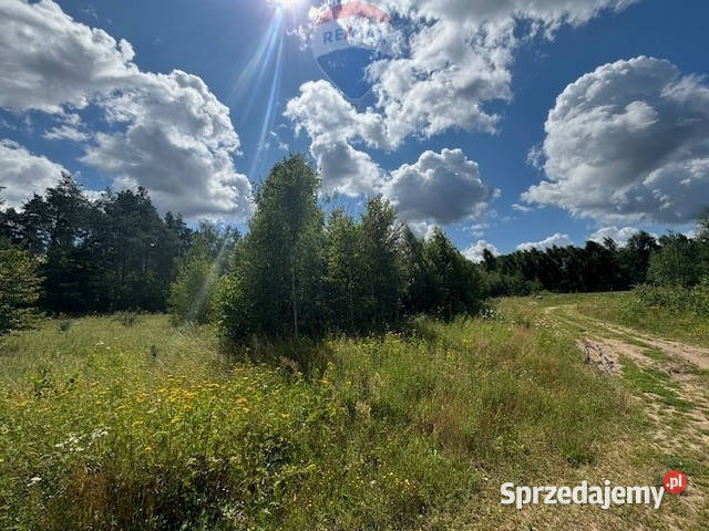 Ładne działki jeziora koło Kolbud Czapielsk