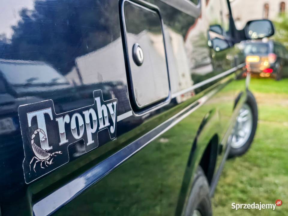 Land Rover Discovery 1 300 Tdi 2500cm3 warmińsko-mazurskie Elbląg