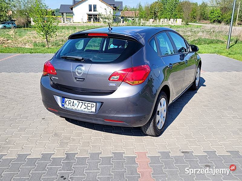 Niezawodny hatchback Słomniki