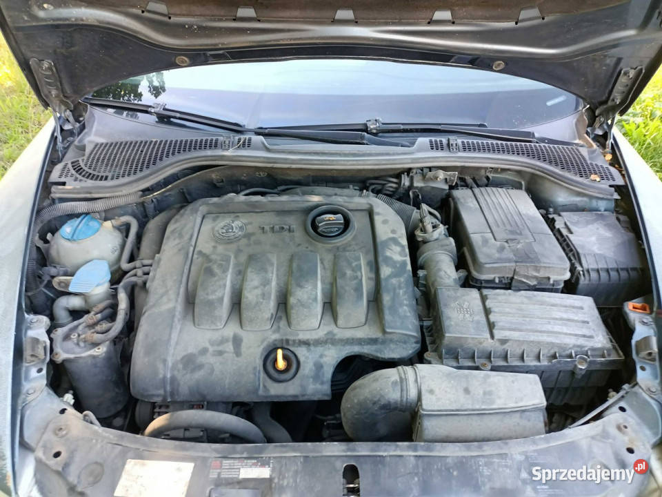 koda Octavia Skoda Octavia 19TDI 105 05r II Octavia Tarnów sprzedam