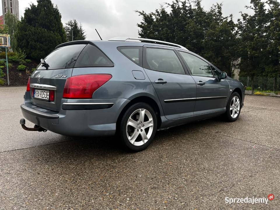 Peugeot 407 20 HDI Bistuszowa
