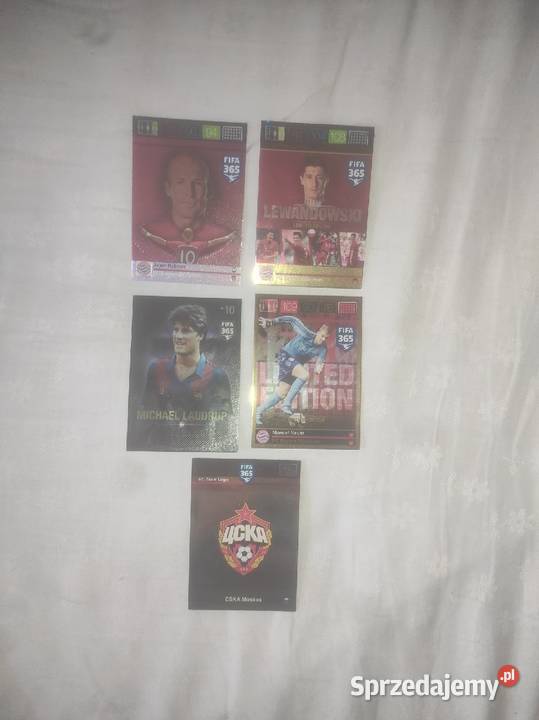 karty piłkarskie FIFA panini Żagań