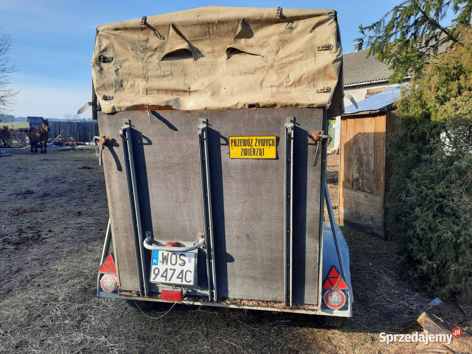 Przyczepa do przewozu koni WESTERIA VT 135 DMC Dzbądzek sprzedam