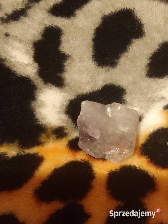 Zestaw 8 bursztyn minerały kwarc ametyst kujawsko-pomorskie