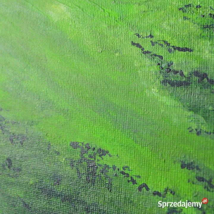 obraz akrylowy Malarstwo Wrocław sprzedam