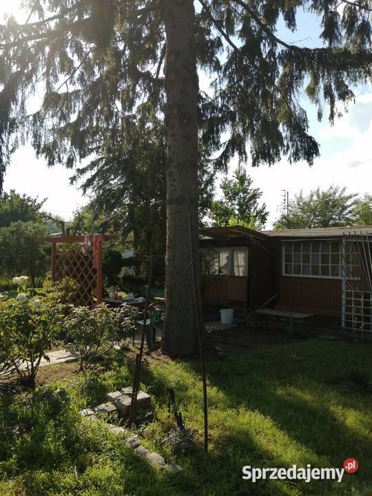 Działka Wisłą w Chełmnie rekreacyjna kujawsko-pomorskie