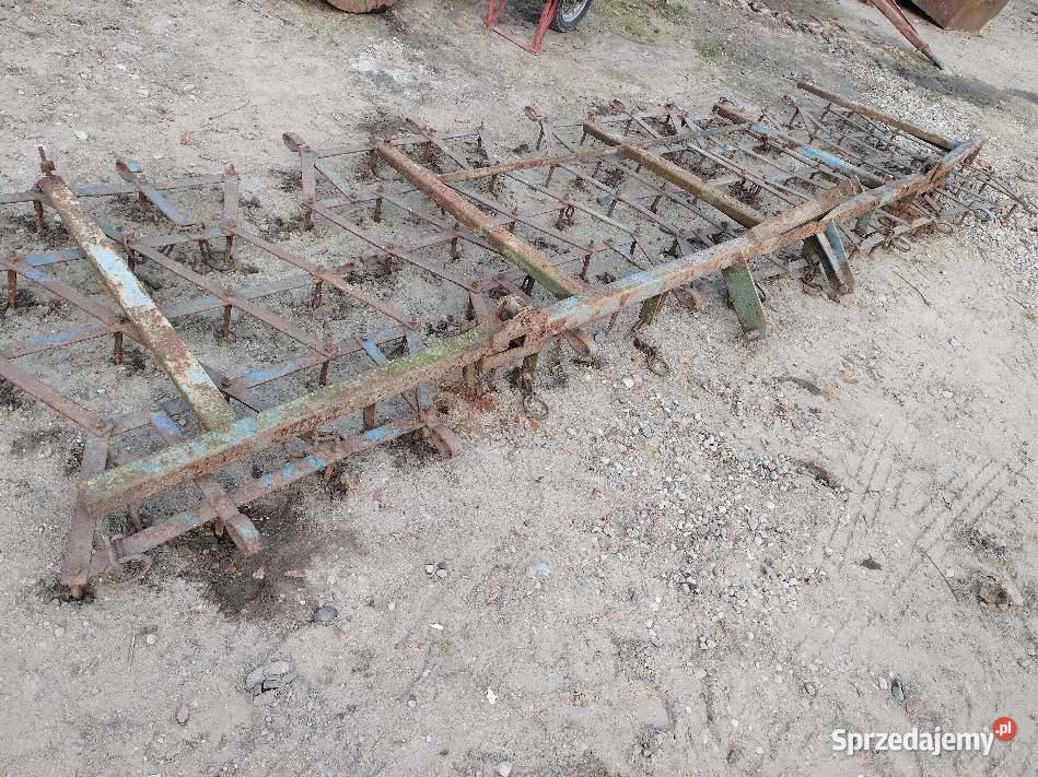 Brony 5 polowe kujawsko-pomorskie Rypin