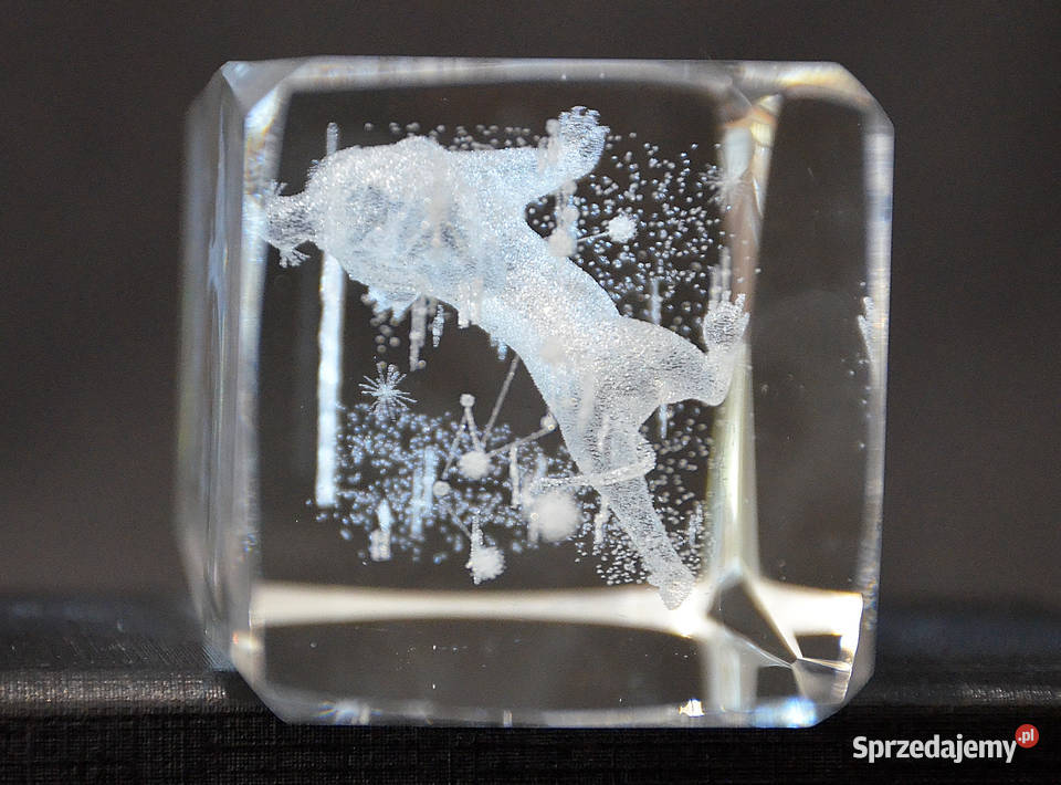 Kryształ 3D grawer wewnętrzny Zodiak LEW gift na Środa Wielkopolska