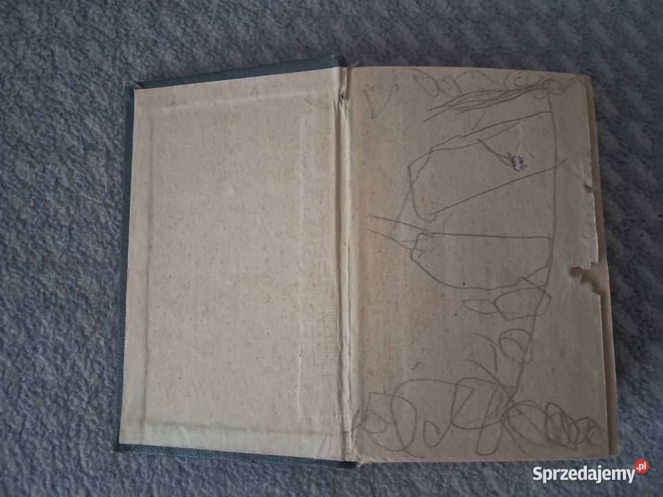 Książka słownik rosyjskopolski do sprzedania Kultura i Rozrywka