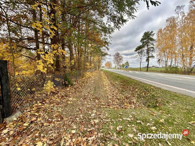 Działka Budy Mszczonowskie 2400m2 sprzedam