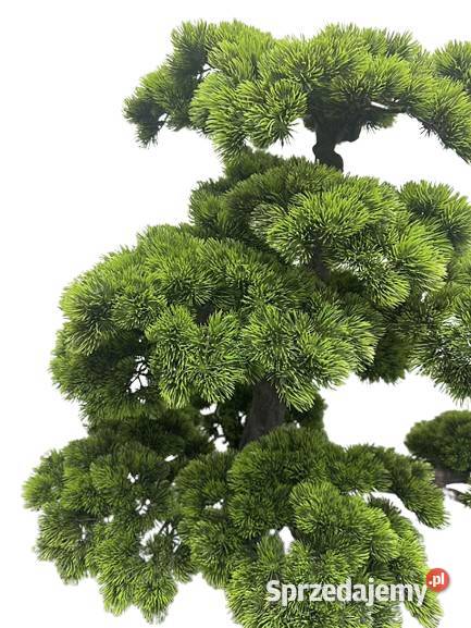Sztuczne drzewko bonsai 200 żywe duże bonsai do Golkowice