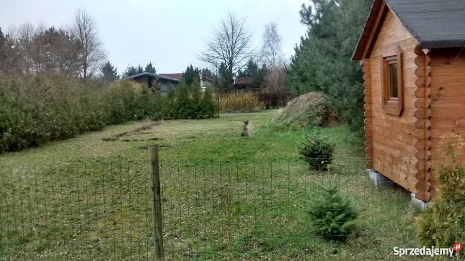 Działka ROD Sierosław II 15 Poznania 400m2 Sierosław sprzedam