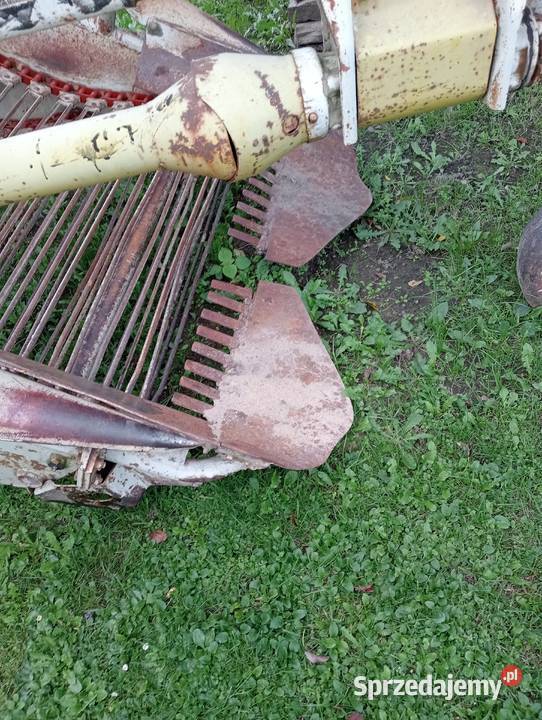 Sprzedam kopaczkie podlaskie Łomża