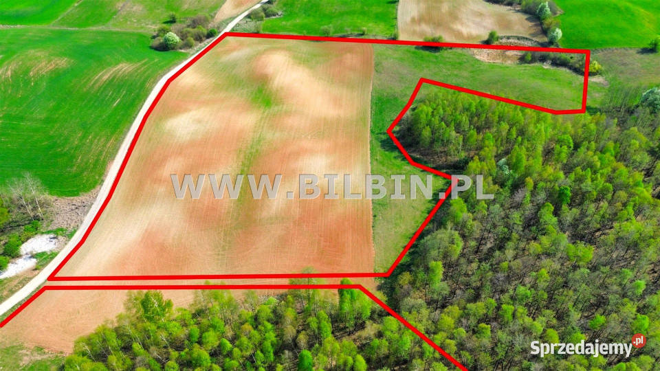Ogłoszenie grunt Czarna Buchta 44542m2