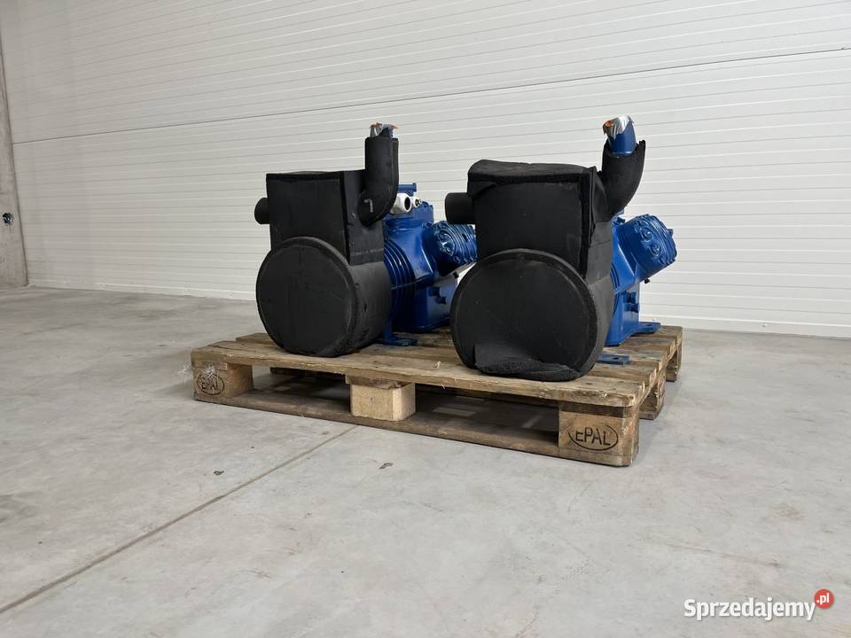 Sprężarka Bitzer 6G302Y skraplacz chiller Niedźwiedź