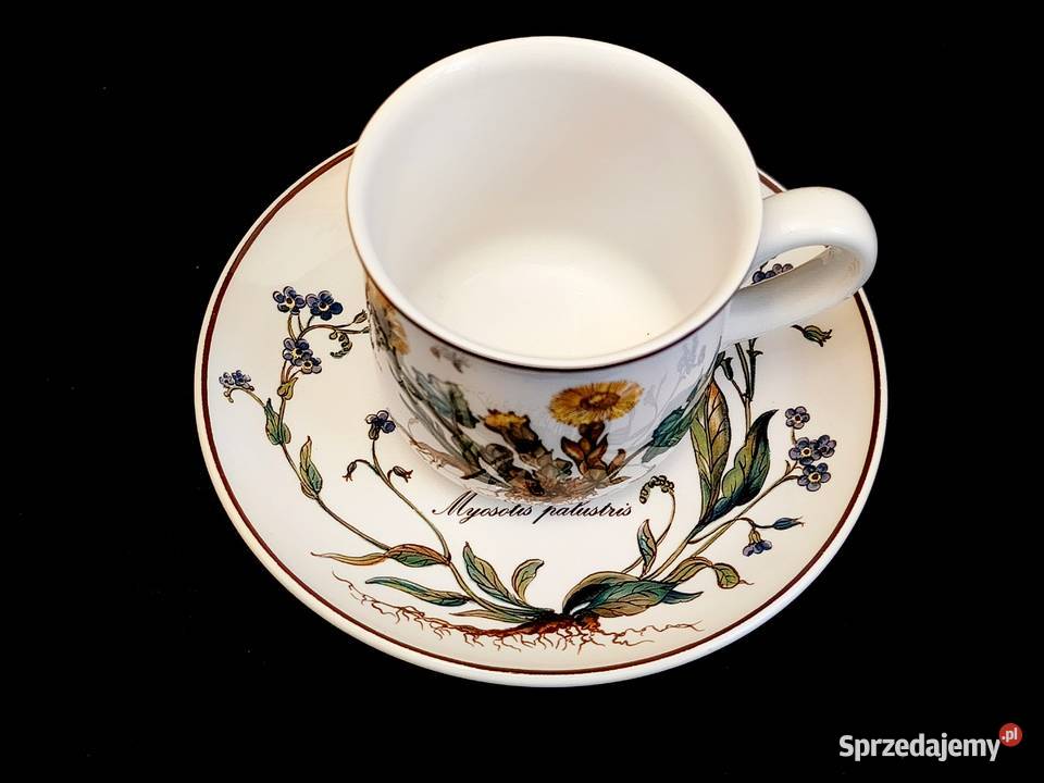 Zestaw kawowy Villeroy Boch Botanica Chełm