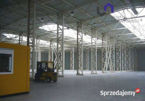 Lokal na wynajem 5480m2 Rybnik śląskie