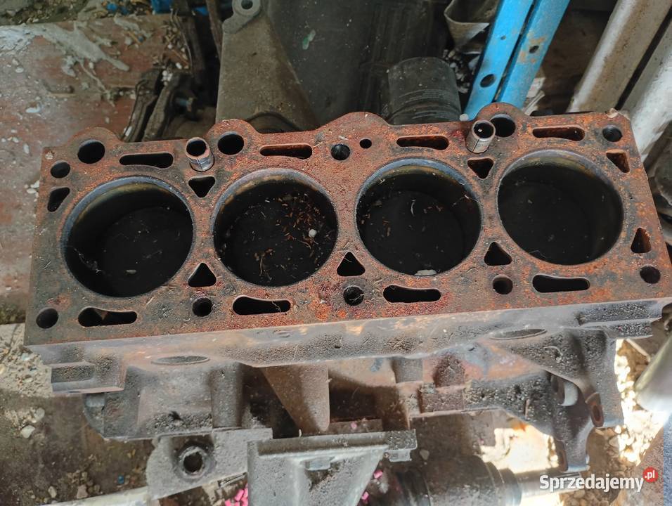 Blok silnika Ford 16 CVH Sierra Sandomierz