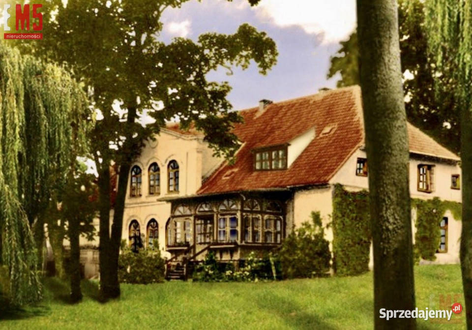 sprzedaży domu wolnostojącego Korsze 110000m2 Sprzedaż sprzedam