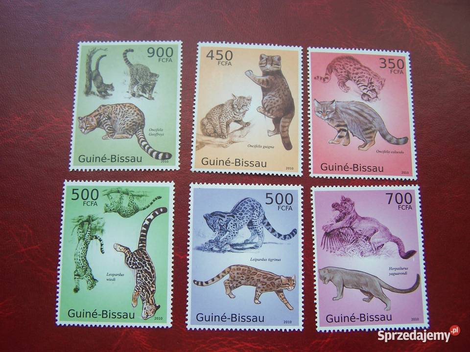 Gwinea Bissau 2010 MNH Fauna Dzikie koty Tychy
