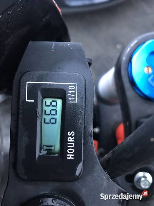 Asix Lizzard 125 Rok produkcji 2024 łódzkie Ambrożew