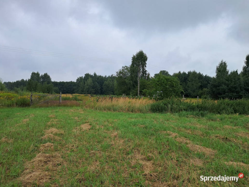 Opole Lubelskie 124 ha malownicza okolica