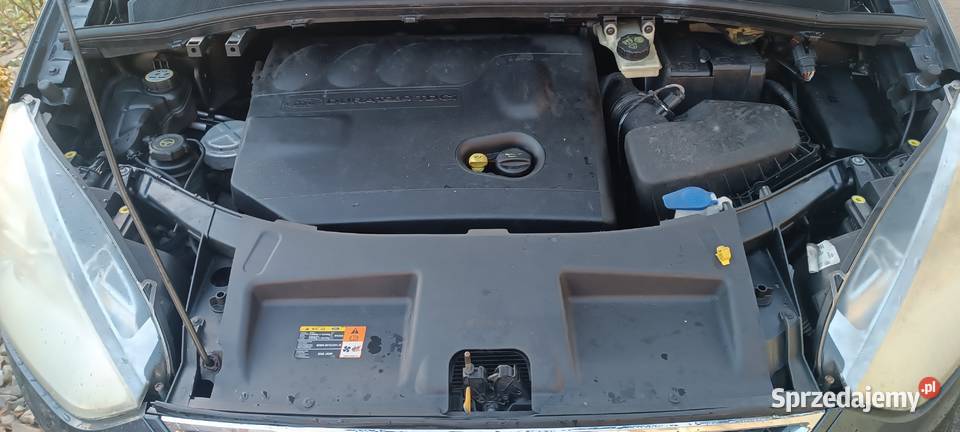 ford galaxy dolnośląskie Syców