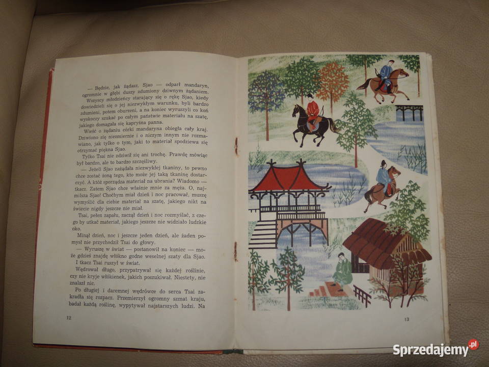 Szary motyl Zofia Chmurowa Warszawa