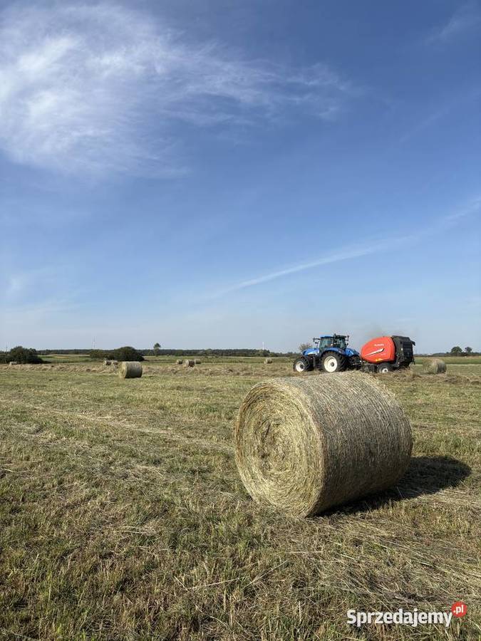 Siano bele ładne tegoroczne lubelskie Zamość sprzedam