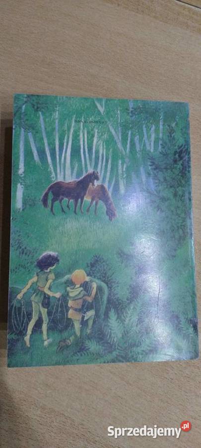 Ronja córka zbójnika Lublin sprzedam