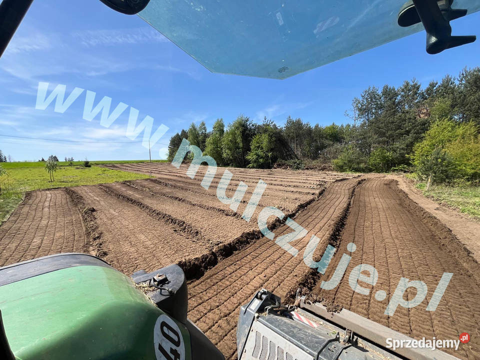 Wycinka drzew Karczowanie rekultywacja działek małopolskie Kraków