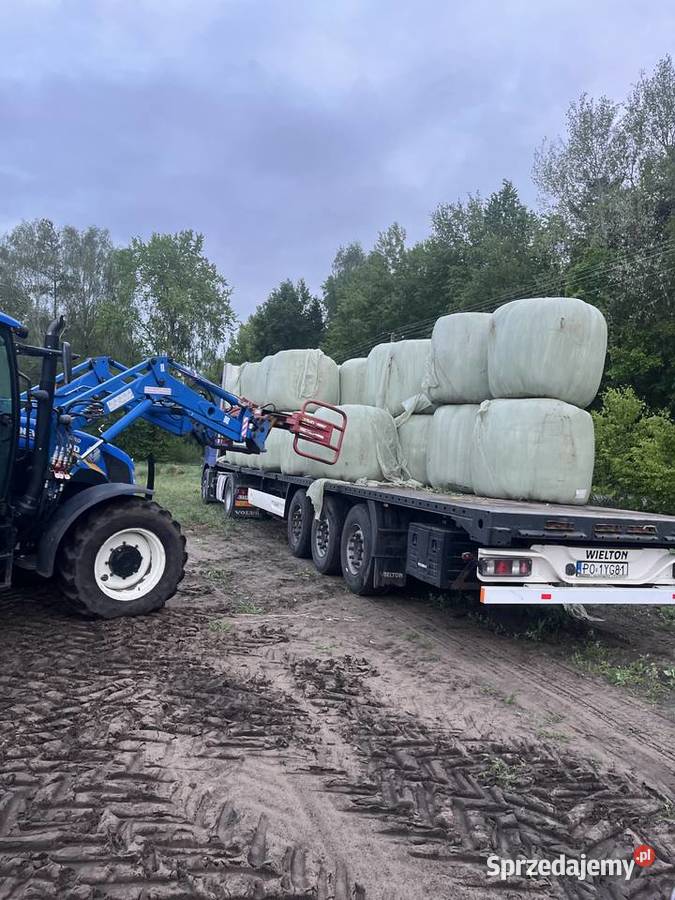 Wysłodki buraczana w balotach transport Fiukówka