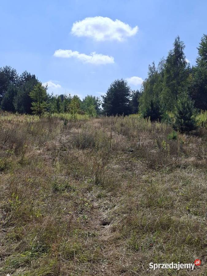 Sprzedam działkę budowlaną Regut