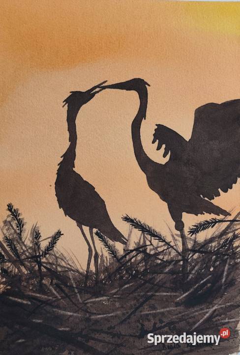 Akwarela Czaple 2 Ręcznie malowana Unikat 27x19 Szczecin sprzedam