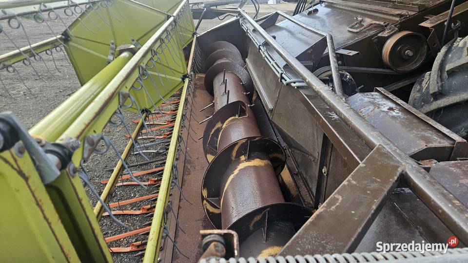 Dronningborg D 7200 Jeżów