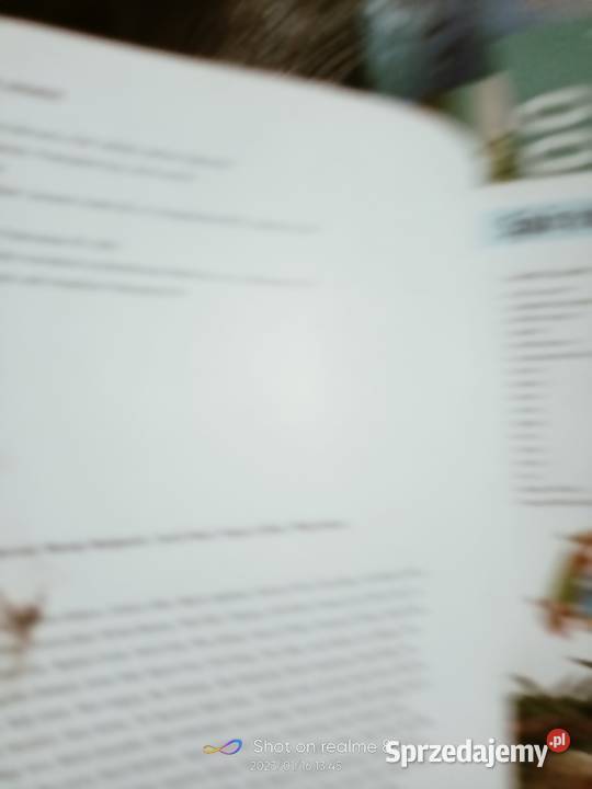 Tysiąc pytań i odpowiedzi album księgarnia mazowieckie Warszawa