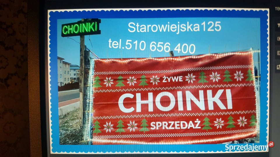 Choinki prosto z prydomowej plantacji mazowieckie Garwolin