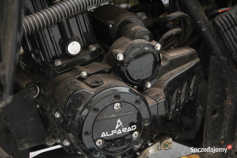 Quad 250 Cobra II 2021 przebieg 420 zachodniopomorskie Goleniów