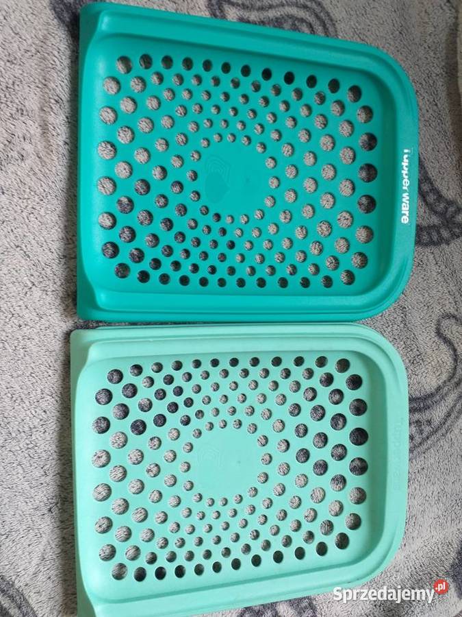 Spiżarenka ziemniaczana cebulowa Tupperware Nowy Sącz sprzedam