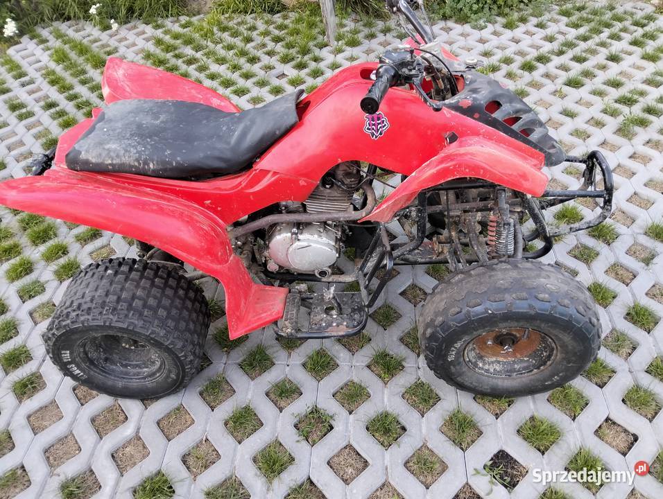 Quad Bashan Motoryzacja Walewice