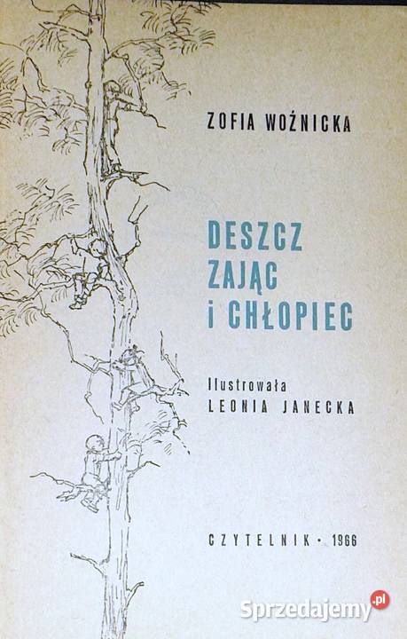 Deszcz zając i chłopiec Zofia Woźnicka Chełm sprzedam