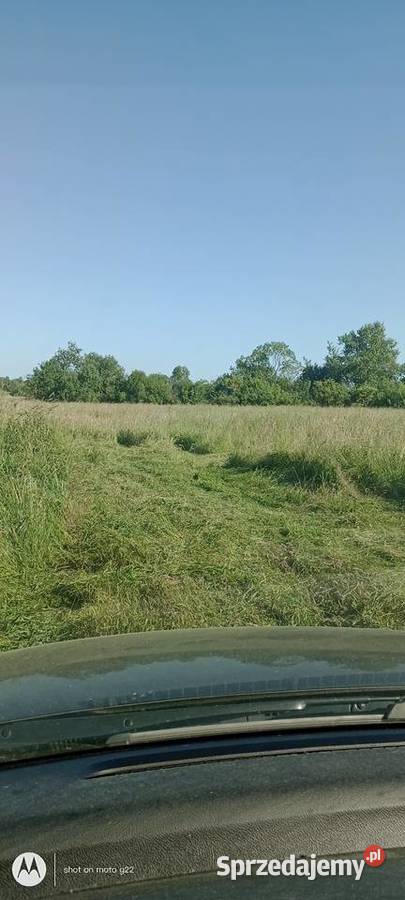 Sprzedam Siano Trawy, słoma Białogard sprzedam