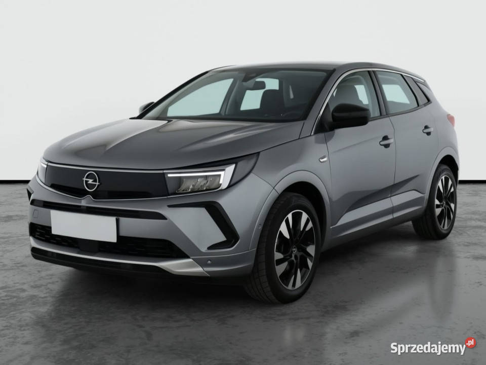 Opel Grandland 12 Turbo komputer pokładowy Grandland X Katowice sprzedam
