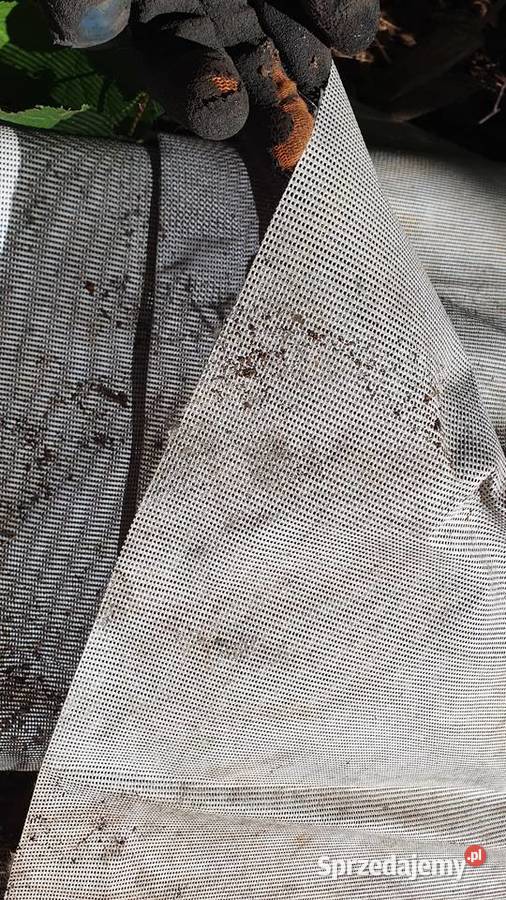 Agrotkanina agrowłóknina mata antychwastowa 100 Agrowłókniny Warszawa sprzedam