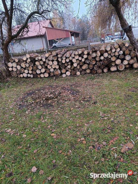 Sprzedam Drewno Sosna metry rąbane Złącza ciesielskie Mielec