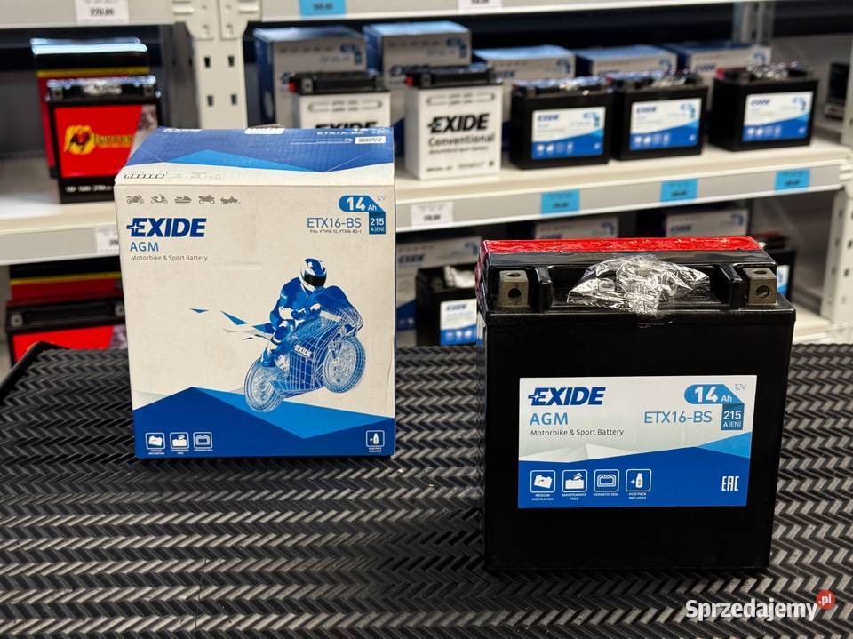 Akumulator EXIDE 12V 14 Ah ETX16BS YTX16BS 1 Jasło