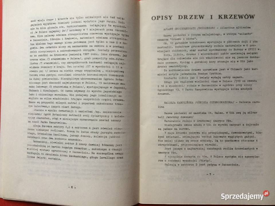 713 Park ImJana Kasprowicza W Szczecinie Szczecin sprzedam