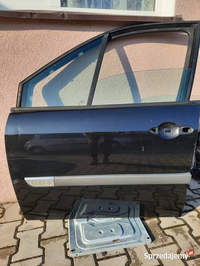 Renault scenic 2 przednie drzwi lewe kolor osobowe Gniezno sprzedam