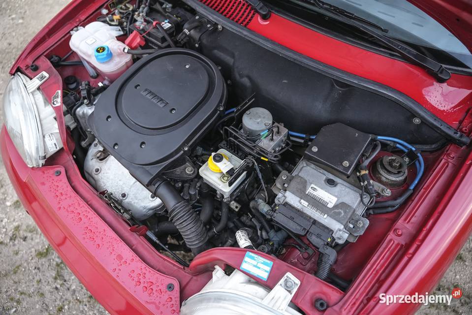 Fiat seicento schumacher Samochody osobowe