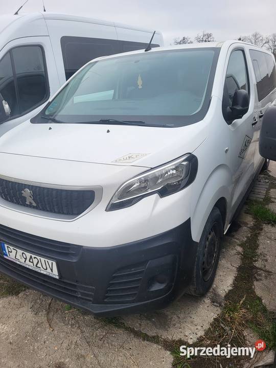 PEUGEOT EXPERT 9 os Samochody dostawcze wielkopolskie Leszno